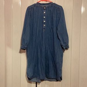 Gap denim dress